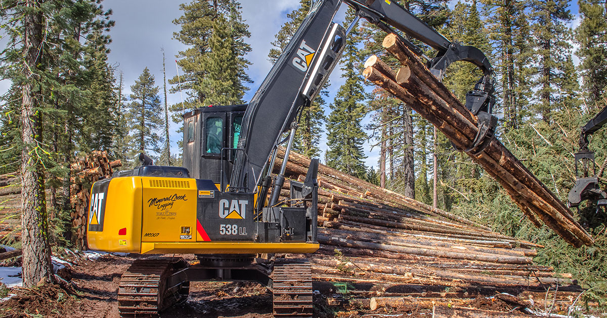 Forest-machines-logging-solution-538