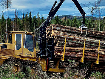 machine placing cut logs down for transport