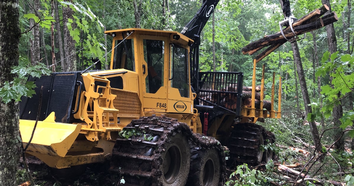 forestry harvester in the forest