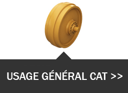 usage général cat