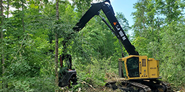 Track Feller Buncher and Track Harvester-H-457