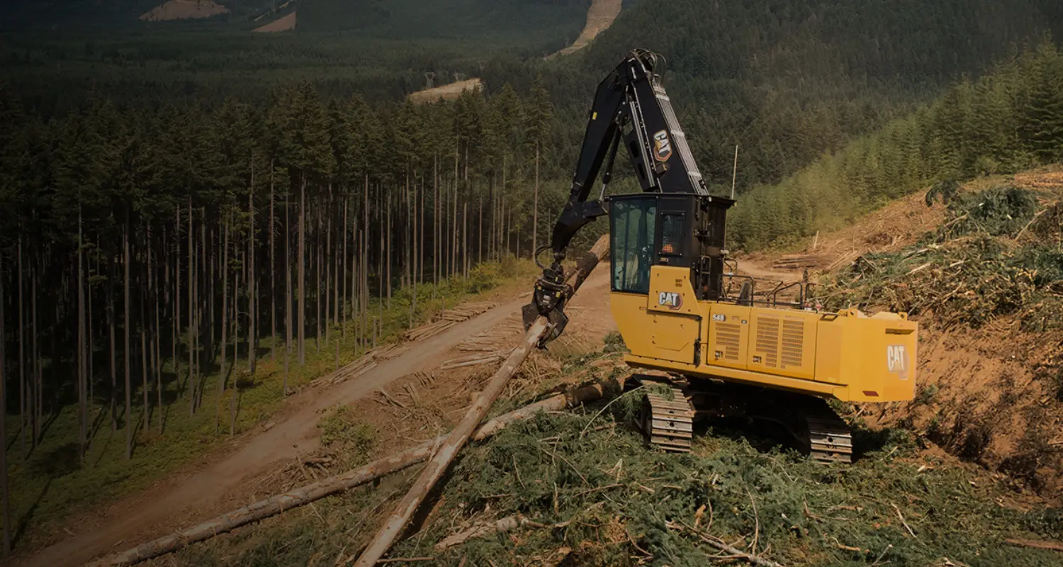 Cat-Forest-Machines