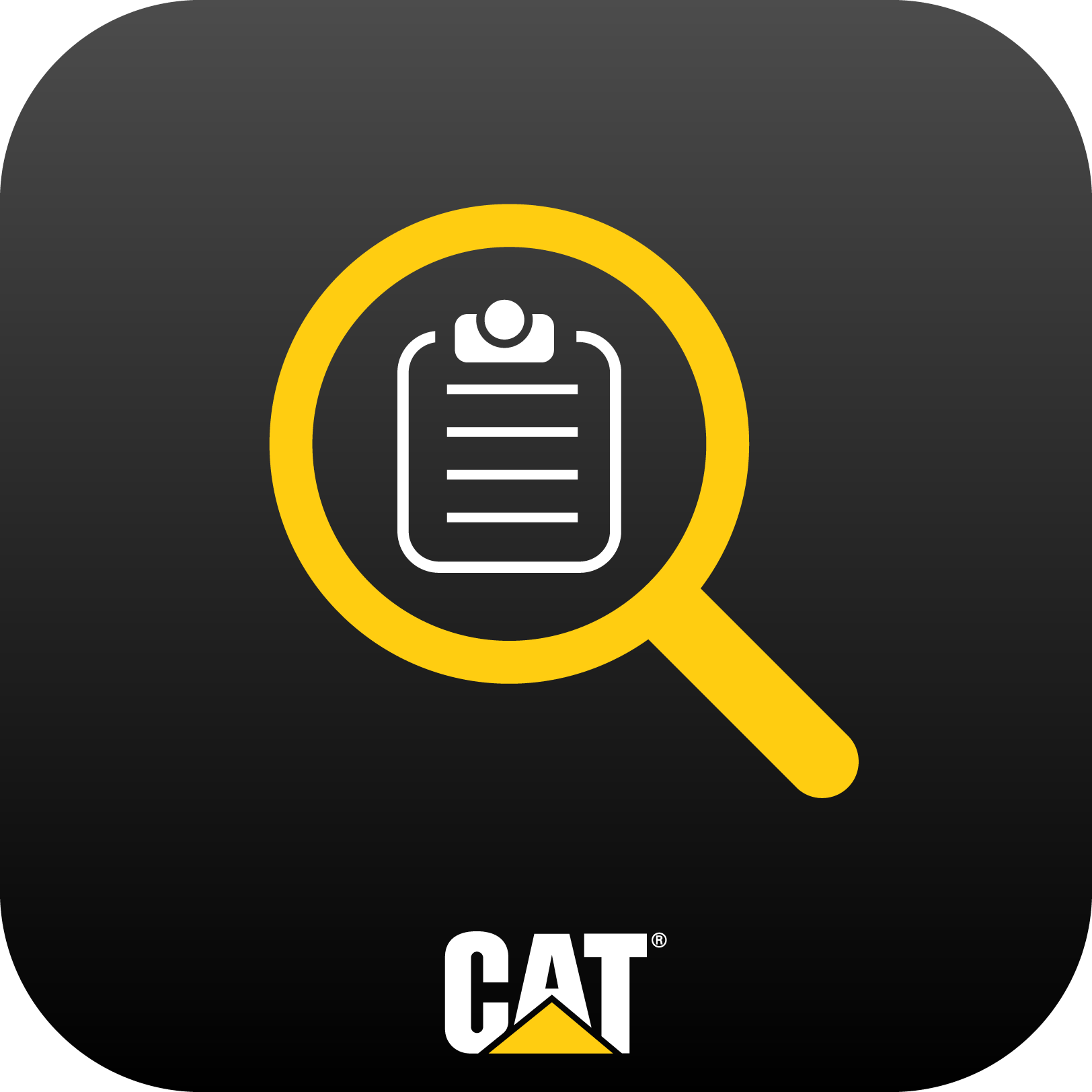cat inspect icon