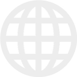 Grey globe icon 