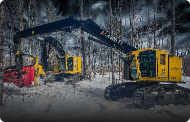 Forestry