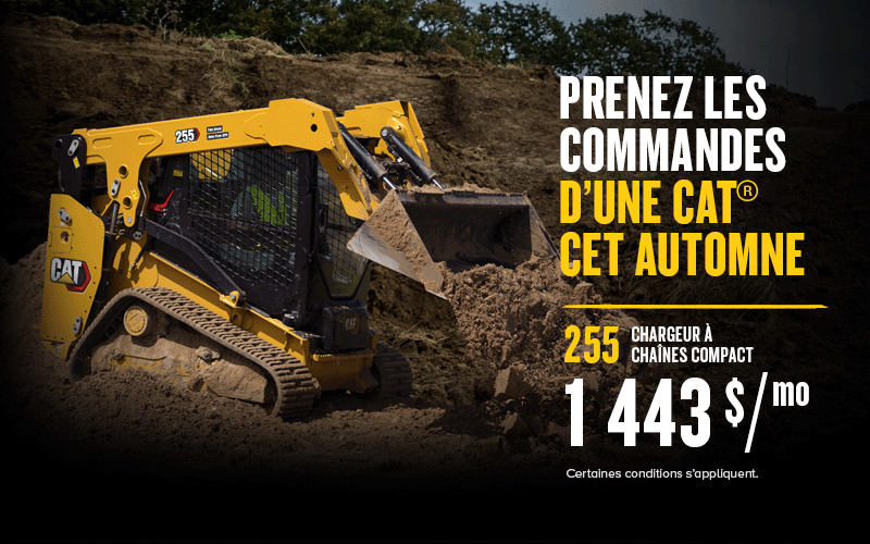 255 Fall Promo FR