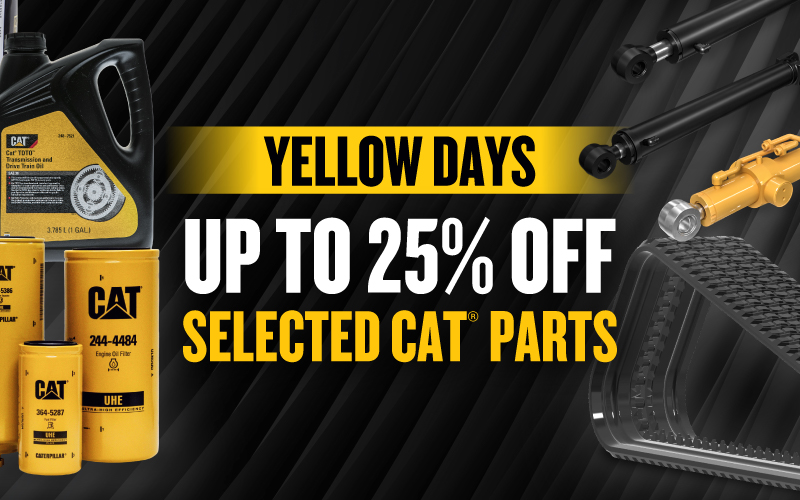 Yellow Days 03-25-2026