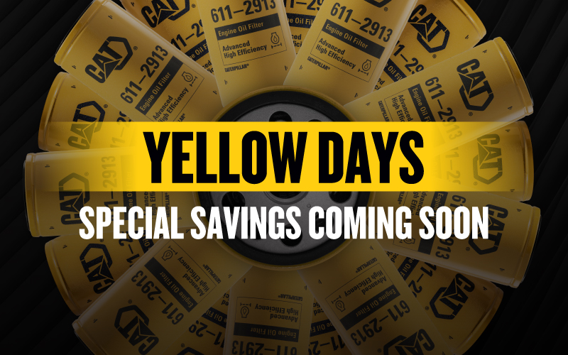 YELLOW DAYS 03-2026