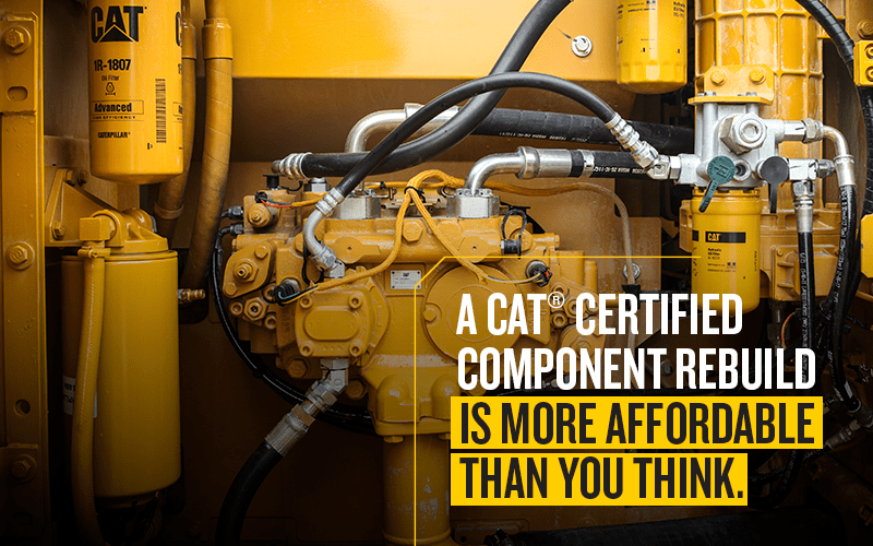 Cat Rebuild
