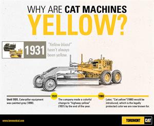 CAT_Infographics_why yellow-01