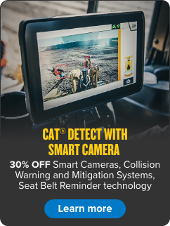 Cat Detect
