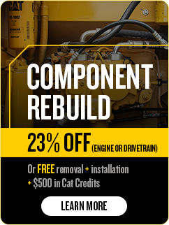 Component Rebuild