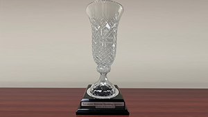 MLA award_300x170